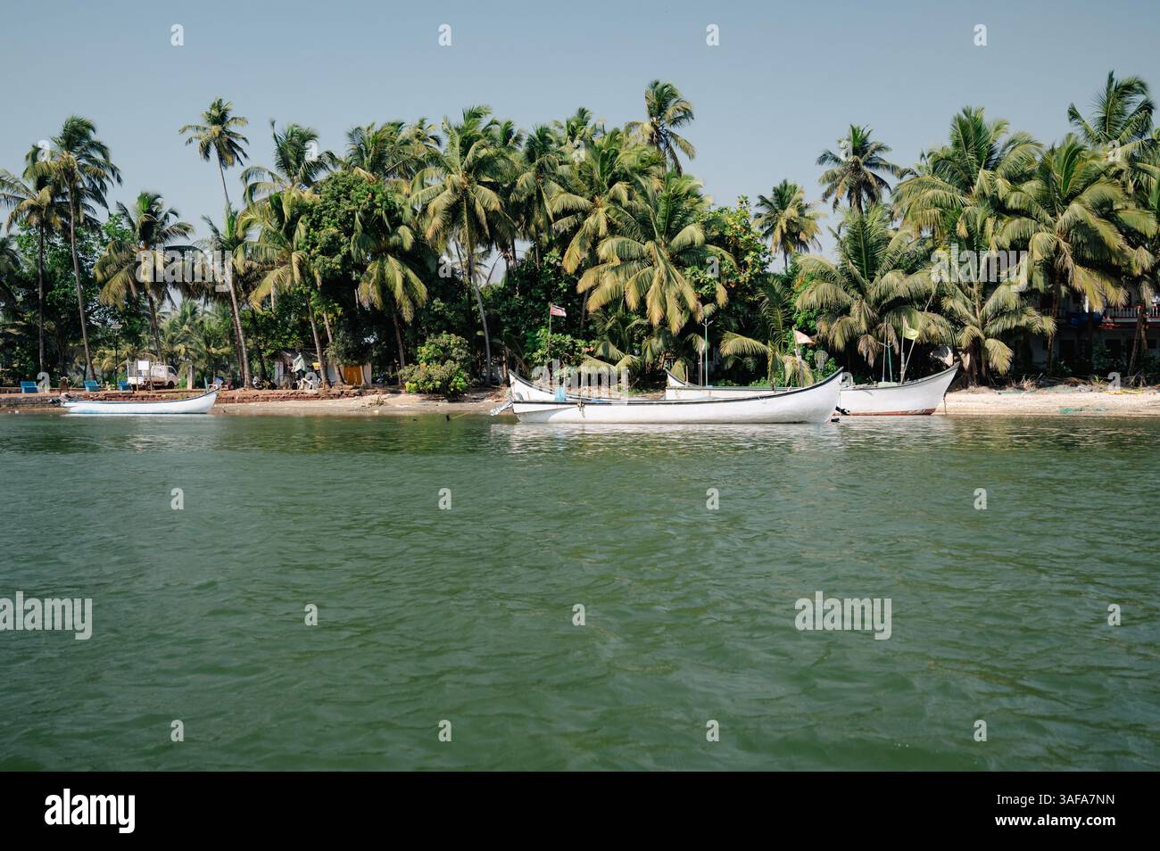 Palme e barche sulla spiaggia di Coco a Goa, India meridionale, costa occidentale tropicale, Mar Arabico in Asia, destinazione turistica Foto Stock