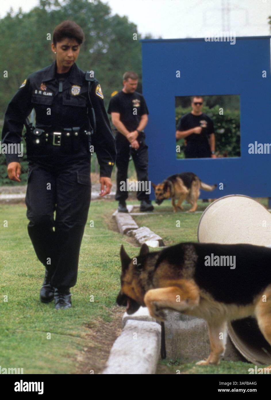 8 aprile 2000; Long Beach, CA, Stati Uniti; foto file, data sconosciuta. Pastore tedesco Ringo durante l'addestramento all'attacco K-9 con Debbie Marie Clark. (Immagine di credito: ZUMA Press/ZUMAPRESS.com) Foto Stock