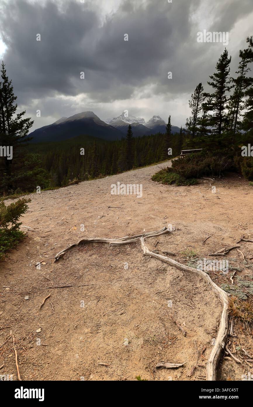 118 North Saskatchewan River Valley, picchi (L-R) Survey (2667 m), Mount Erasmus E1 (3113 m) e NE1 (2836 m), dal punto panoramico di Howse Pass. Banff-AB-Canada. Foto Stock