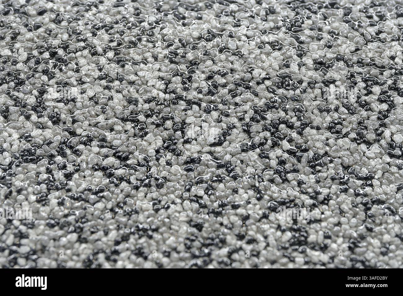 Una moltitudine di ciottoli rotondi bagnati di colore nero, bianco e grigio, primi piani, sfondo grigio astratto Foto Stock