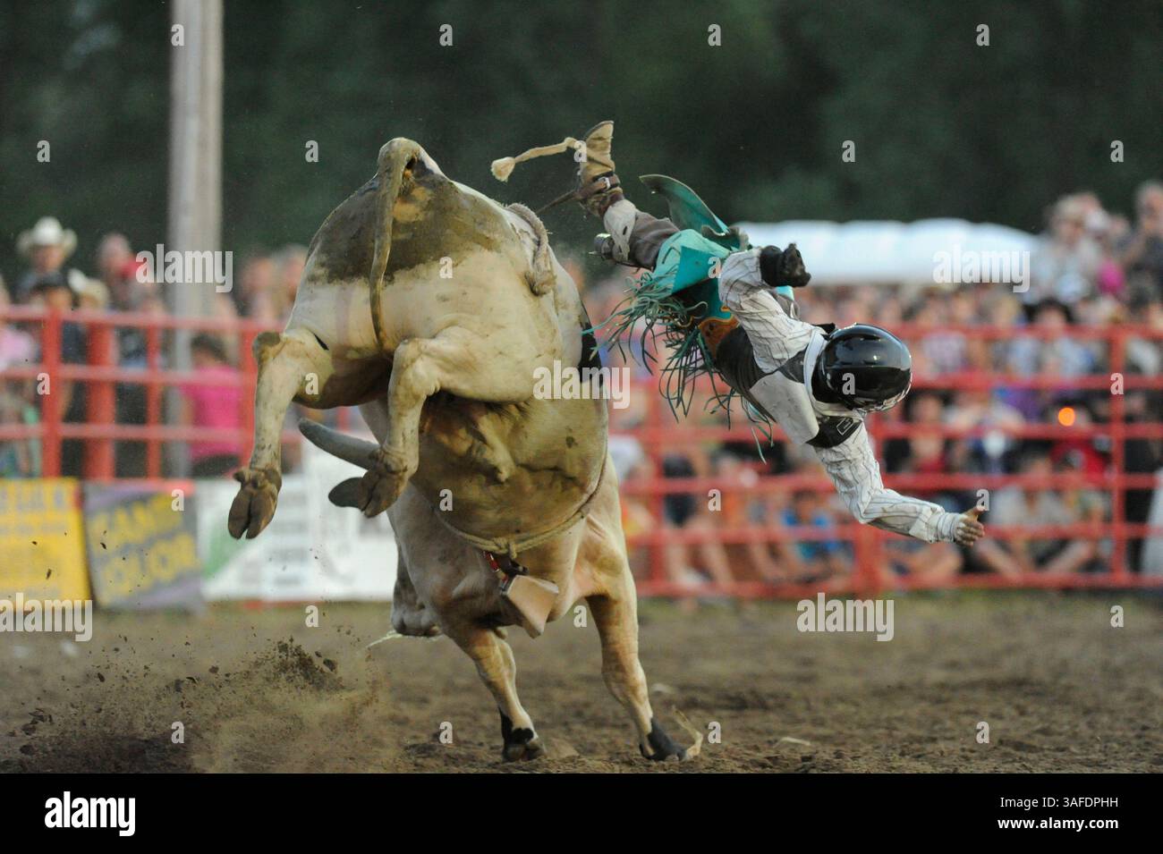 2012 JUL 07: Il Bull rider Dalton Sonenstahl di Big Lake, MN, viene colpito dal toro chiamato Velvet Sports Coat durante la gara di toro del PRCA Isanti Firefighters Rodeo di Isanti, MN (Credit Image: © Josh Holmberg/Cal Sport Media/ZUMAPRESS.com) Foto Stock