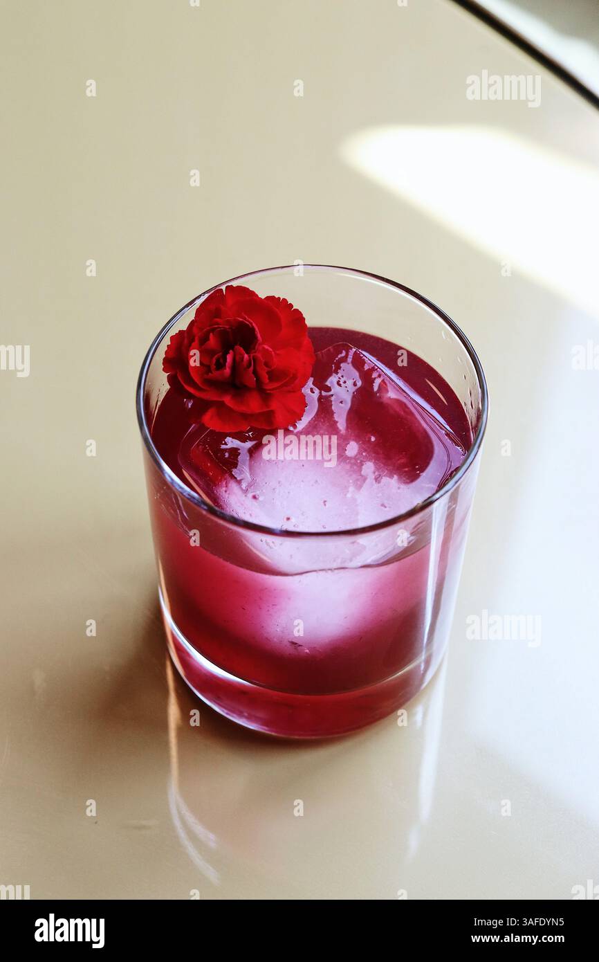 Elegante cocktail rosso servito in un bicchiere trasparente con un grande cubetto di ghiaccio e decorato con un vivace fiore rosso garofano. Foto Stock Elegante cocktail rosso servito in un bicchiere trasparente con un grande cubetto di ghiaccio e decorato con un vivace fiore rosso garofano. Foto Stock