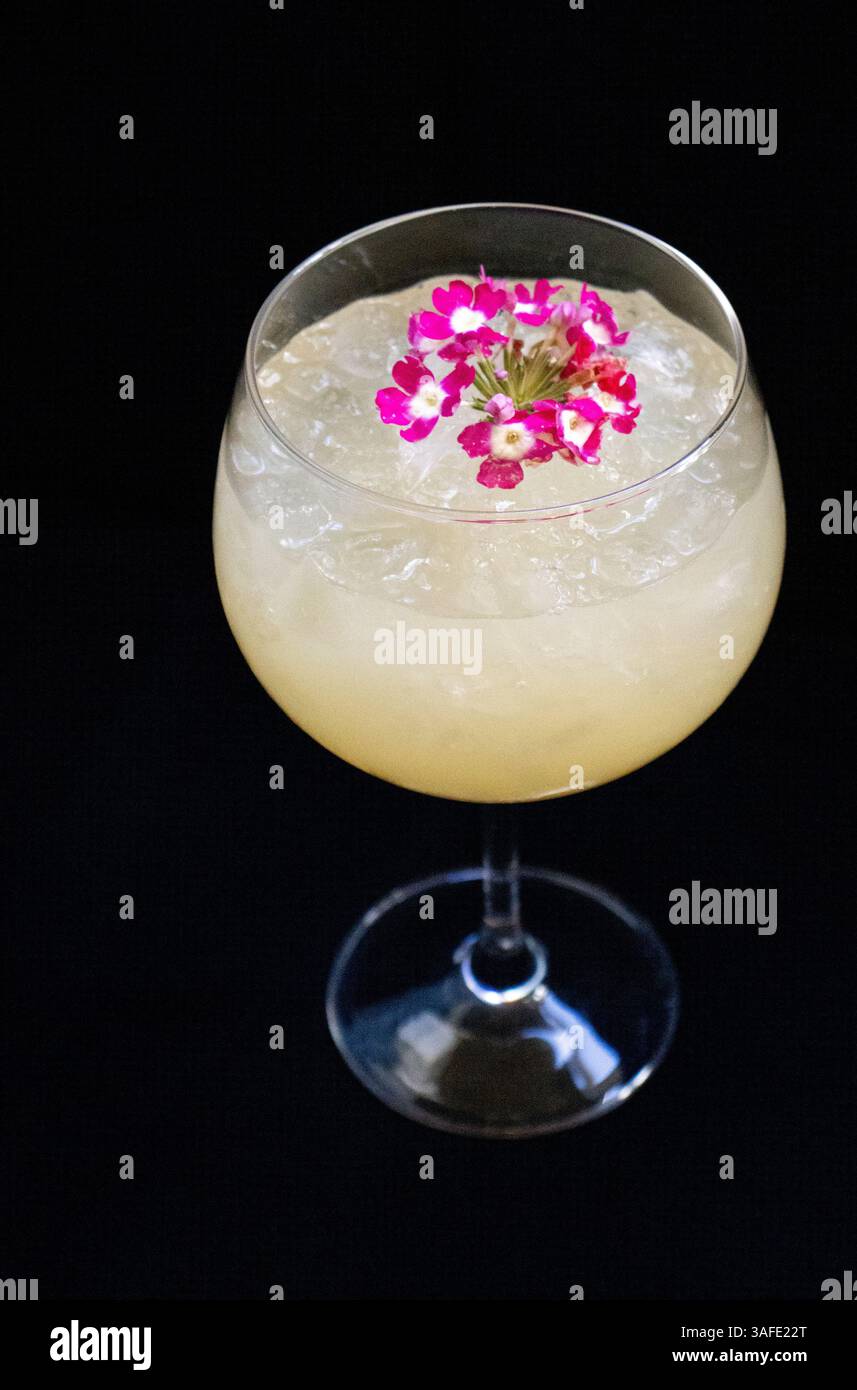 Elegante cocktail servito in un bicchiere pieno di ghiaccio tritato, decorato con un gruppo di fiori commestibili rosa vibranti, su un nero drammatico Foto Stock