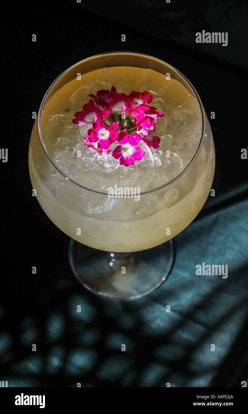 Splendido cocktail di colore chiaro decorato con fiori rosa su un bicchiere di palloncino, con molto ghiaccio. Umore scuro, con ombre Foto Stock Splendido cocktail di colore chiaro decorato con fiori rosa su un bicchiere di palloncino, con molto ghiaccio. Umore scuro, con ombre Foto Stock