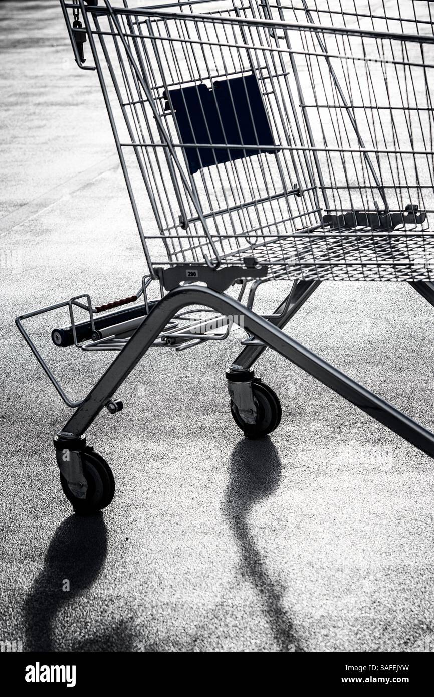 Dettaglio di un carrello del supermercato vuoto Foto Stock
