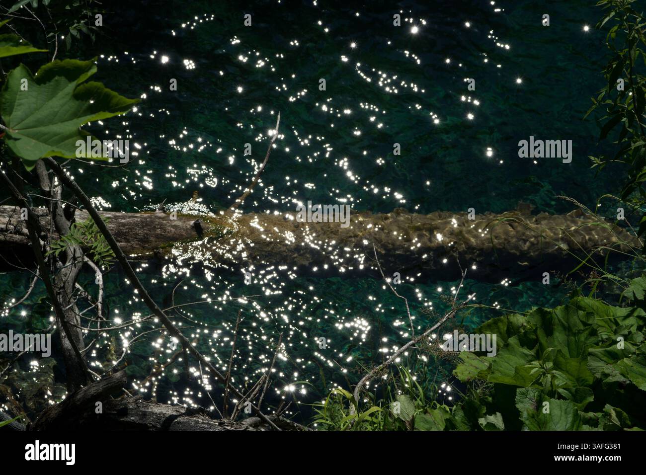 Un tronco d'albero visibile nelle acque cristalline di uno dei laghi di plitvice. La luce solare scintillante si riflette nell'acqua increspata. Foto Stock