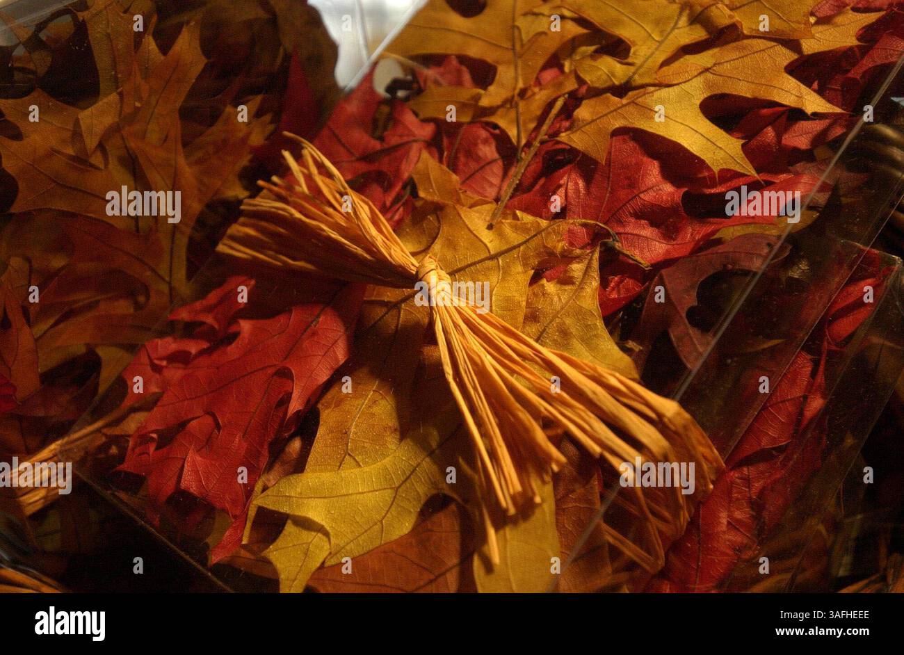 Una scatola di foglie decorative di quercia in vendita al Crate and Barrel di Tyson's Corner, Virginia, USA giovedì pomeriggio 22 agosto 2002. (Immagine di credito: The Washington Times/ZUMAPRESS.com) Foto Stock