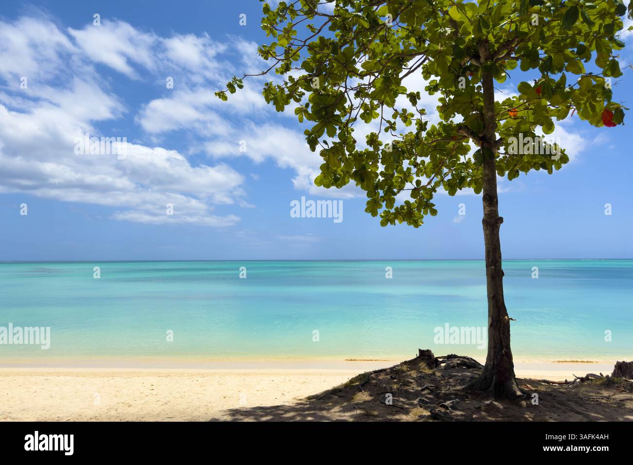 Splendida spiaggia tropicale di Mont Choisy, isola Mauritius nell'oceano indiano, sfondo blu nuvoloso Foto Stock
