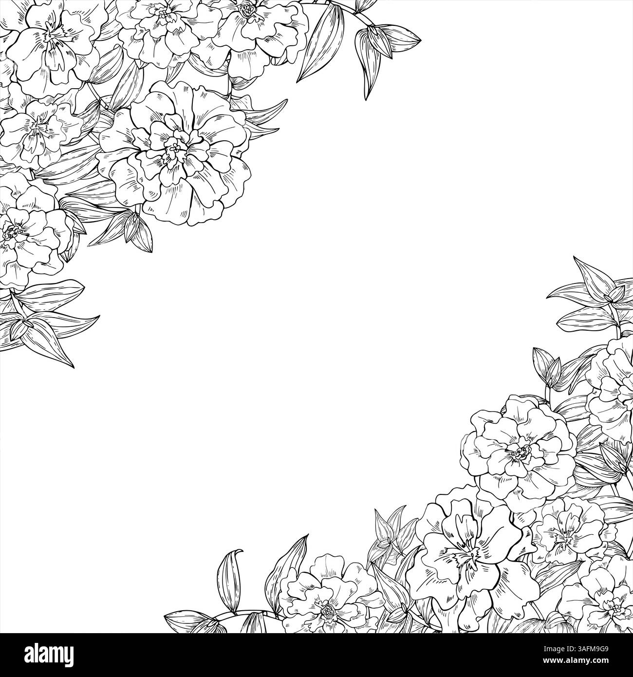 Teste floreali Marigold, tradescantia lascia una cornice quadrata vettoriale con spazio vuoto per il testo. Schizzo a inchiostro nero con fiori in fiore. Bordo floreale Illustrazione Vettoriale