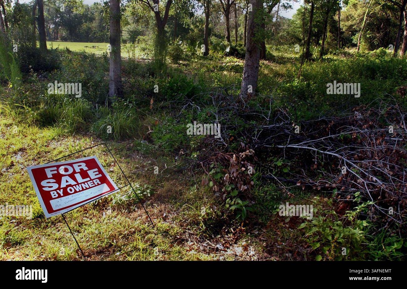 DIDASCALIA:(04/27/2005 UNIVERSITY NORTH) la Police Athletic League (PAL) di Tampa ha voltato piume tentando di commercializzare una proprietà di 6,5 acri al largo della N. 20th Street che Hillsborough Country ha detenuto a PAL diversi anni fa ma il gruppo (Credit Image: St Petersburg Times/ZUMAPRESS.com) Foto Stock