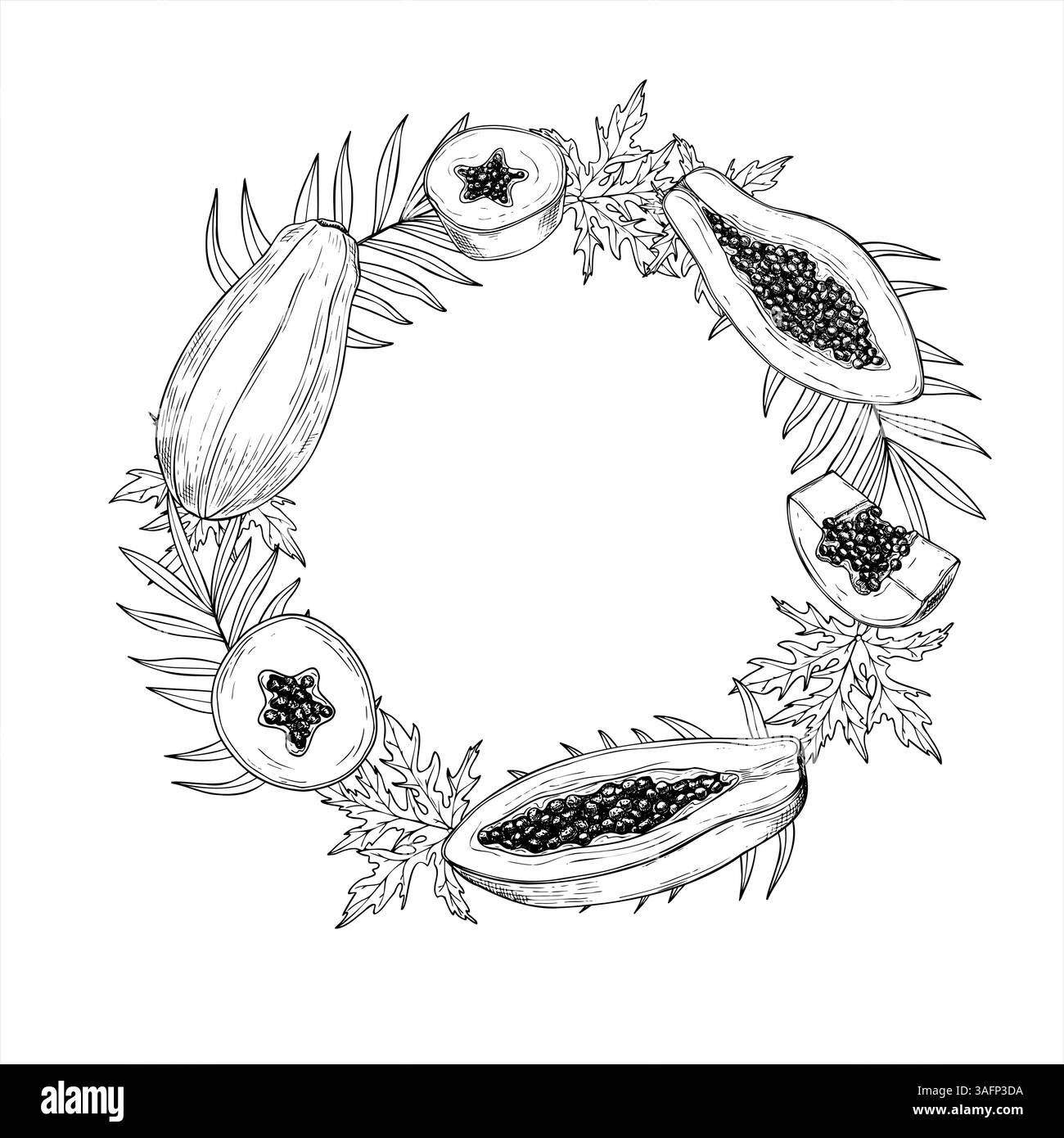 Papaya tropicale vettoriale e foglie di palma corona in stile lineare monocromatico. Illustrazione della cornice rotonda con grafica dolce per dolci pawpaw dessert con spazio vuoto Illustrazione Vettoriale