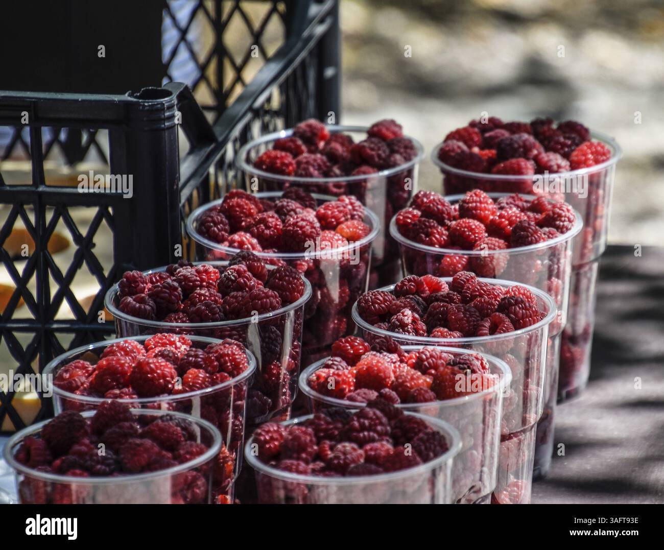 Bicchieri con lamponi sul bancone. Insediamento ornato, regione di Krasnodar, Russia, Europa Foto Stock
