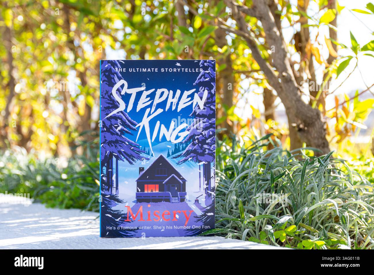 Primo piano del romanzo misery di Stephen King in the Garden. Foto Stock
