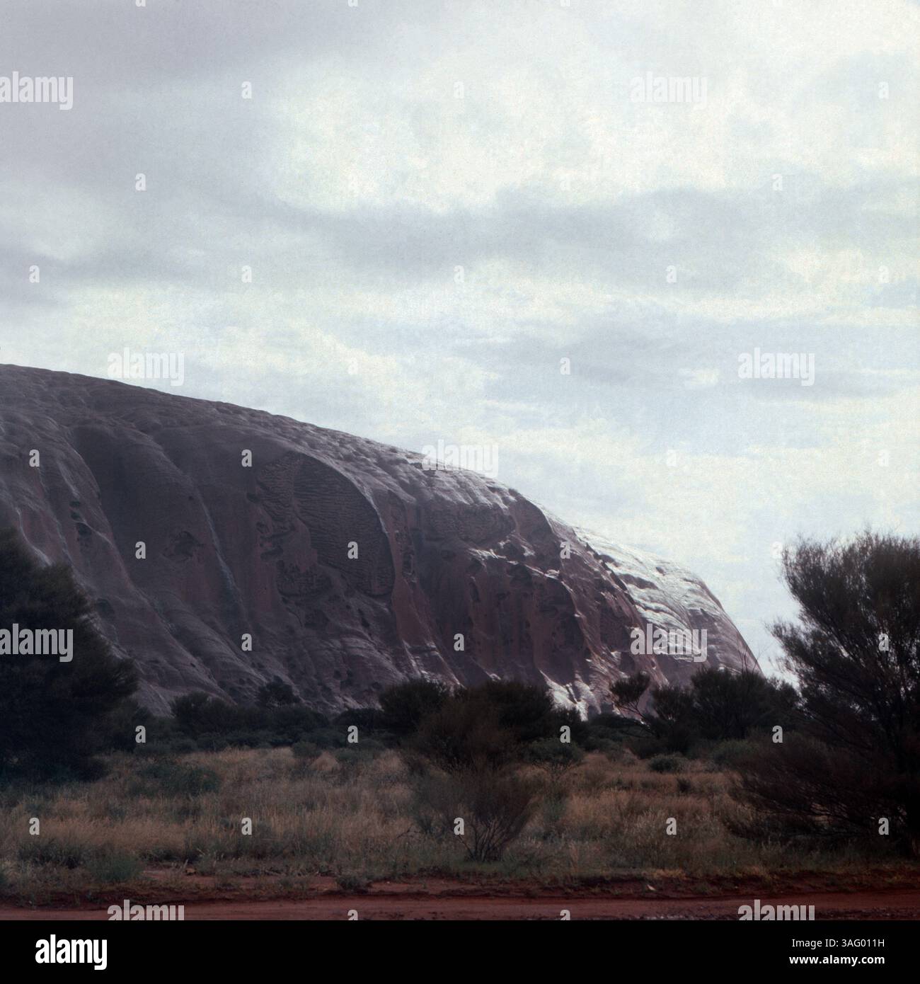 Uluru (Ayers Rock), eines der bekanntesten Wahrzeichen Australiens, im australischen Outback. Die Massive SandsteInformation ragt aus der flachen Landschaft auf und ist teilweise von Niederschlag oder morgendlichem Tau bedeckt, was eine seltene und faszinierende Atmosphäre schafft. Die Oberfläche des Felsens ist geprägt von Erosionsspuren, Höhlen und natürlichen Vertiefungen. Im Vordergrund wachsen typische Outback-Sträucher, während der Himmel mit einer dichten, bewölkten Schicht bedeckt ist, Was der Szenerie eine geheimnisvolle und fast mystische Stimmung verleiht, um 1985. Foto Stock