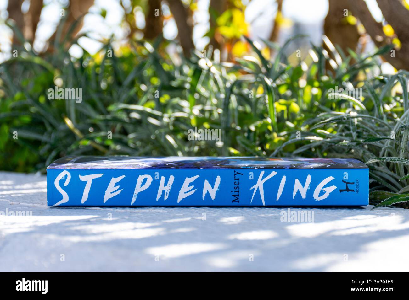 Primo piano del romanzo misery di Stephen King in the Garden. Foto Stock