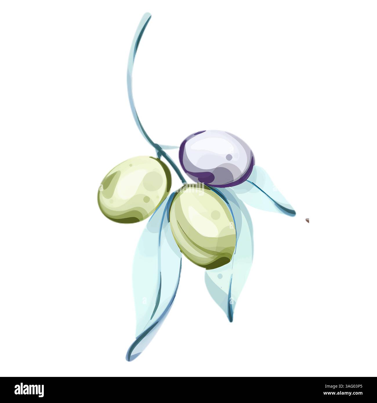 Illustrazione di olive e olio d'oliva che mostrano l'essenza della cucina italiana e della natura nella tecnica dell'acquerello Illustrazione Vettoriale