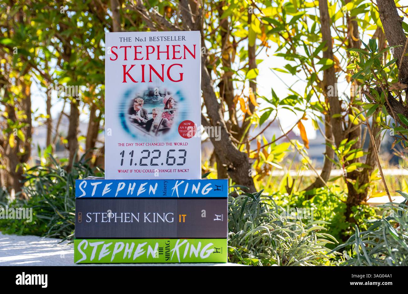 Primo piano dei romanzi di Stephen King in giardino. Foto Stock