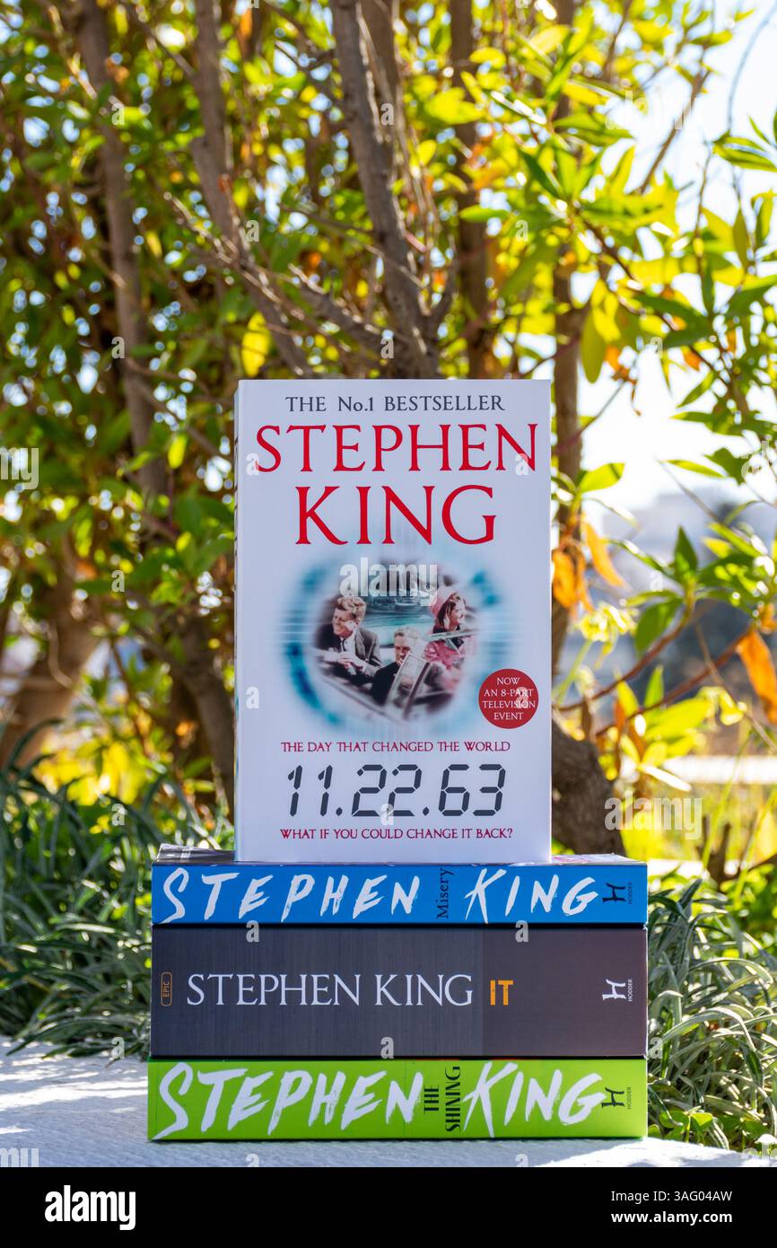 Primo piano dei romanzi di Stephen King in giardino. Foto Stock