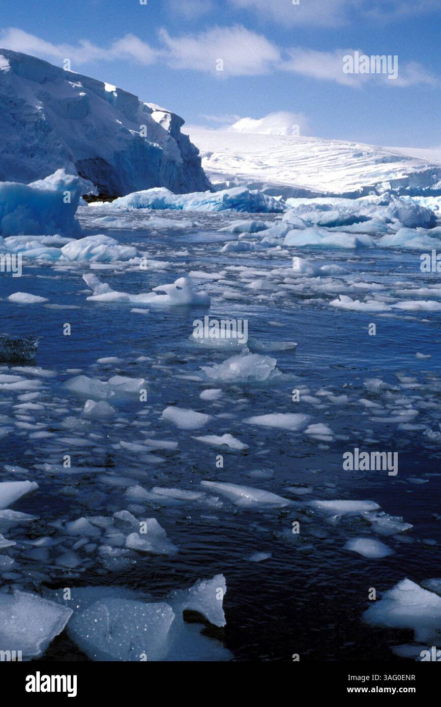 22 agosto 2012 - la Penisola Antartica è uno dei luoghi più veloci che si riscaldano sulla Terra, secondo un rapporto pubblicato mercoledì dagli scienziati del British Antarctic Survey. NELLA FOTO: 1 gennaio 2000 - Ghiacciaio Marr, Antartica - il ghiaccio Brash galleggia vicino agli iceberg causato dallo scioglimento del ghiacciaio Marr. A causa del riscaldamento globale, la penisola antartica si sta riscaldando rapidamente, circa 5 gradi Celsius in 50 anni. L'estensione media del ghiaccio marino invernale è di circa il 20% in meno dal 1973. (Immagine di credito: Gary Braasch/ZUMAPRESS.com) Foto Stock