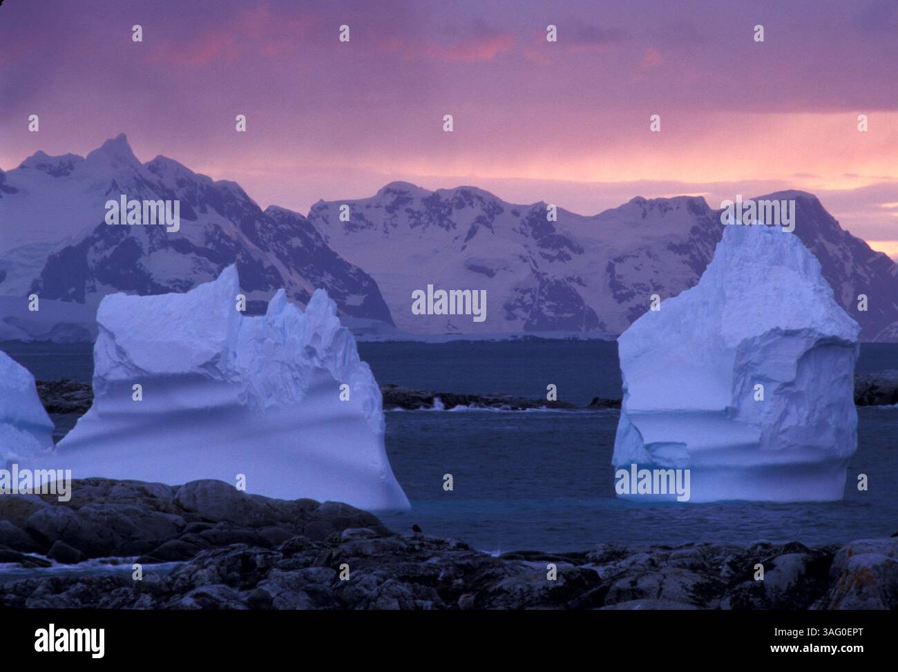 22 agosto 2012 - la Penisola Antartica è uno dei luoghi più veloci che si riscaldano sulla Terra, secondo un rapporto pubblicato mercoledì dagli scienziati del British Antarctic Survey. NELLA FOTO: 1 gennaio 2000 - Anvers Island, Antartica - Iceberg sono visibili lungo la costa di Danko. A causa del riscaldamento globale, la penisola antartica si sta riscaldando rapidamente, circa 5 gradi Celsius in 50 anni. L'estensione media del ghiaccio marino invernale è di circa il 20% in meno dal 1973. (Immagine di credito: Gary Braasch/ZUMAPRESS.com) Foto Stock