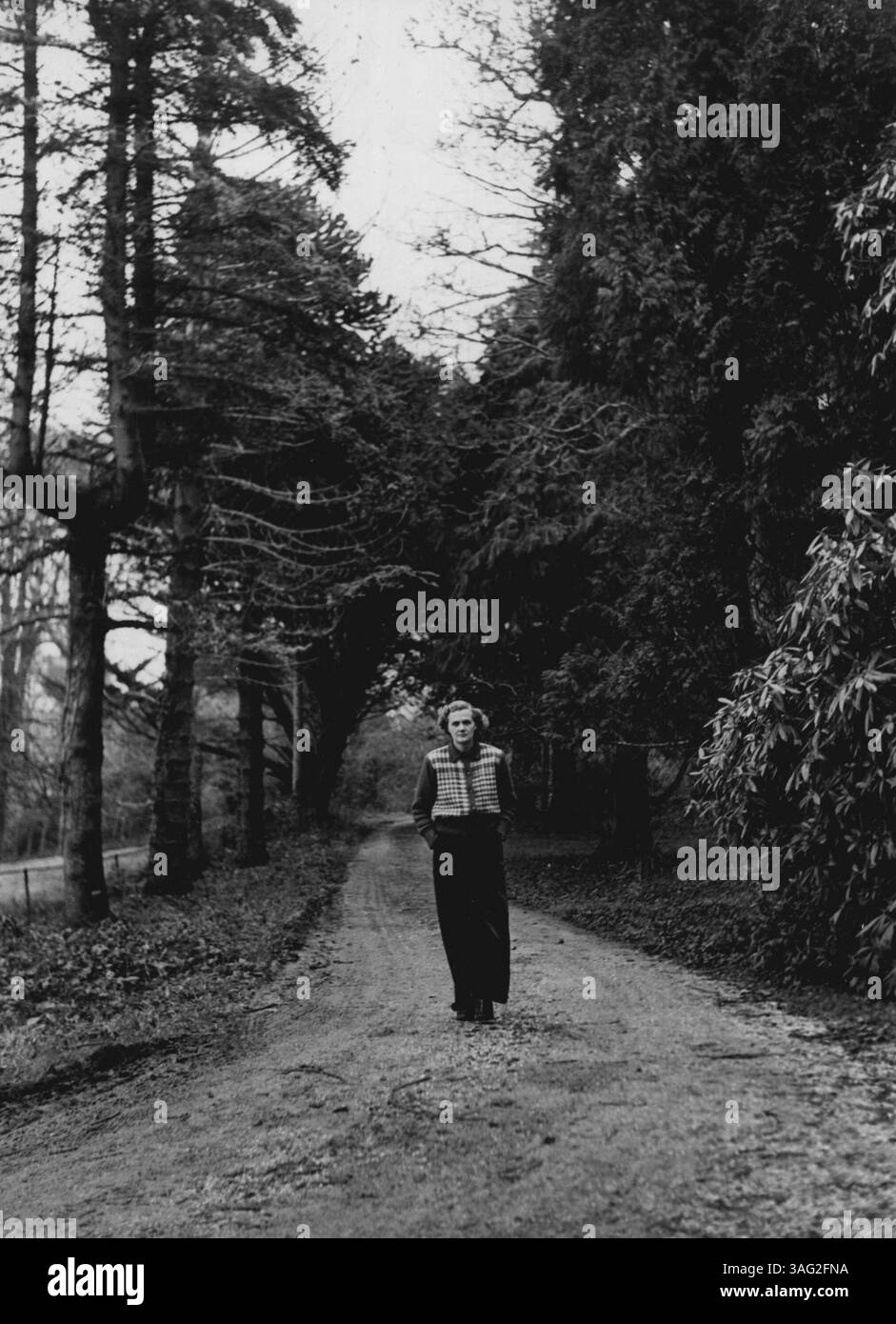 Daphne Du Maurier at Home at Menabilly, nei terreni di Manabilly: Vestita di slacks e cardigan canadese Lady Browning, meglio conosciuta da milioni di lettori in tutto il mondo come Daphne du Maurier, cammina lungo il sentiero disseminato di foglie. È lei che pensa alla trama e alla controtrama, alla caratterizzazione e alla presentazione del suo lavoro. 9 marzo 1951. (Foto di Tom L. Blau, camera Press. Foto Stock