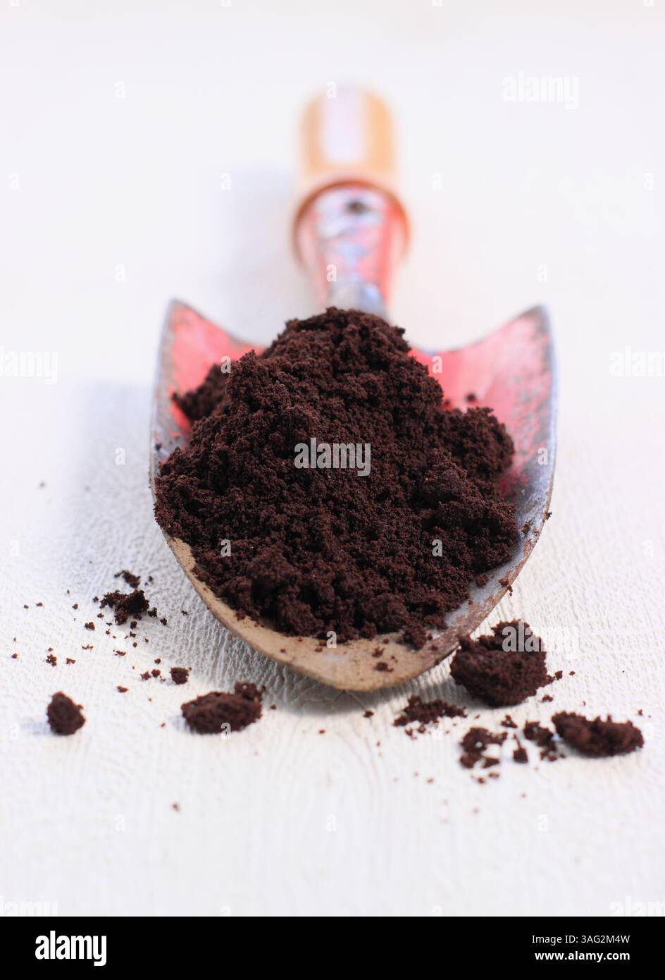 Usava caffè in polvere su una cazzuola da giardino. REGNO UNITO Foto Stock