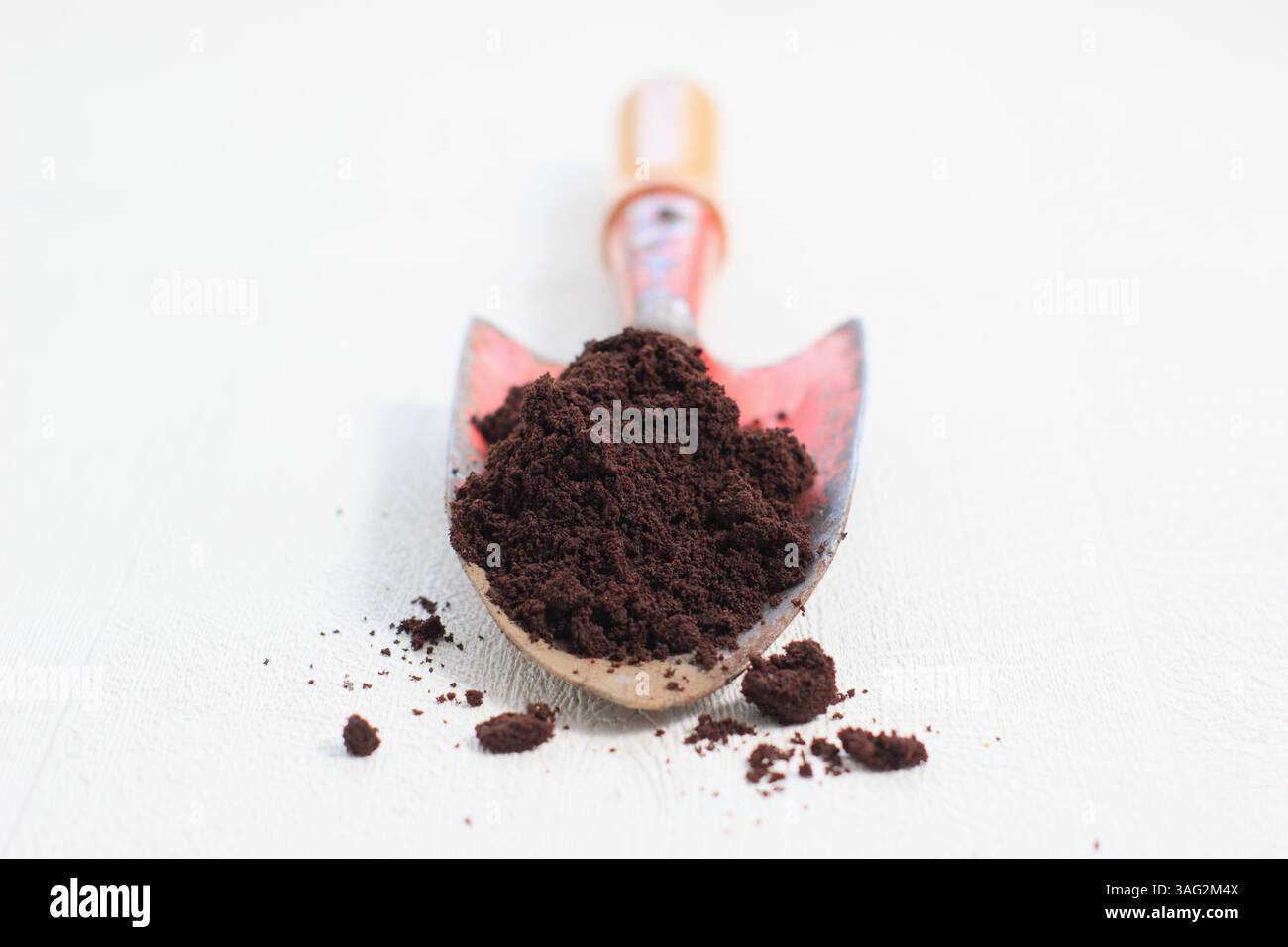 Usava caffè in polvere su una cazzuola da giardino. REGNO UNITO Foto Stock