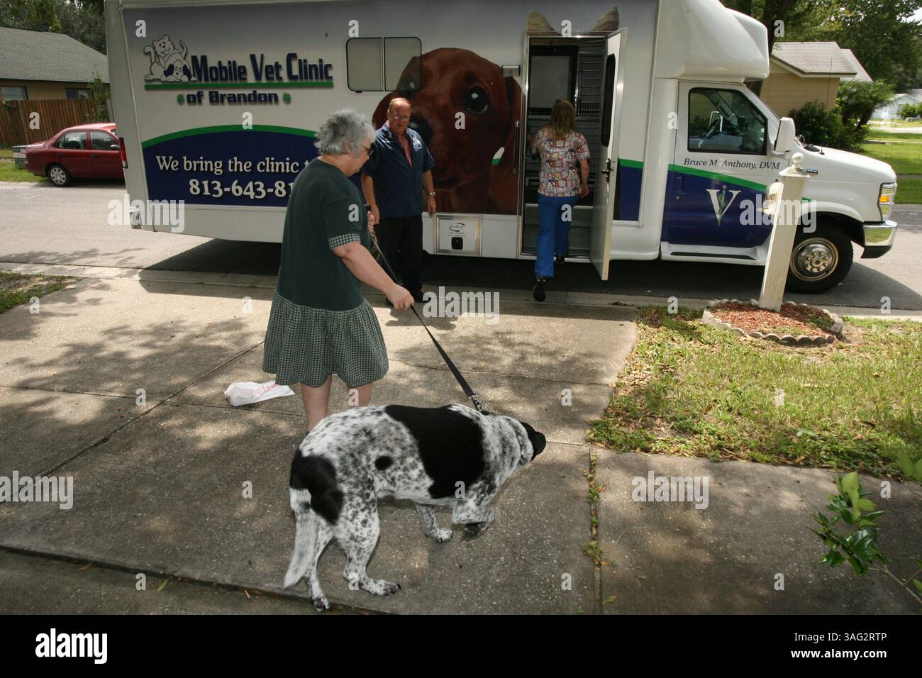 FOTO 2 DI 4 DIDASCALIA: (BRANDON, 09/03/2008) Judy Bryant, 60, di Valrico Walks Beaux, a Black Lab/Australian Blue Heeler si mescolano lungo il vialetto e verso la clinica mobile del Dr. Bruce Anthony mercoledì (immagine di credito: St Petersburg Times/ZUMAPRESS.com) Foto Stock