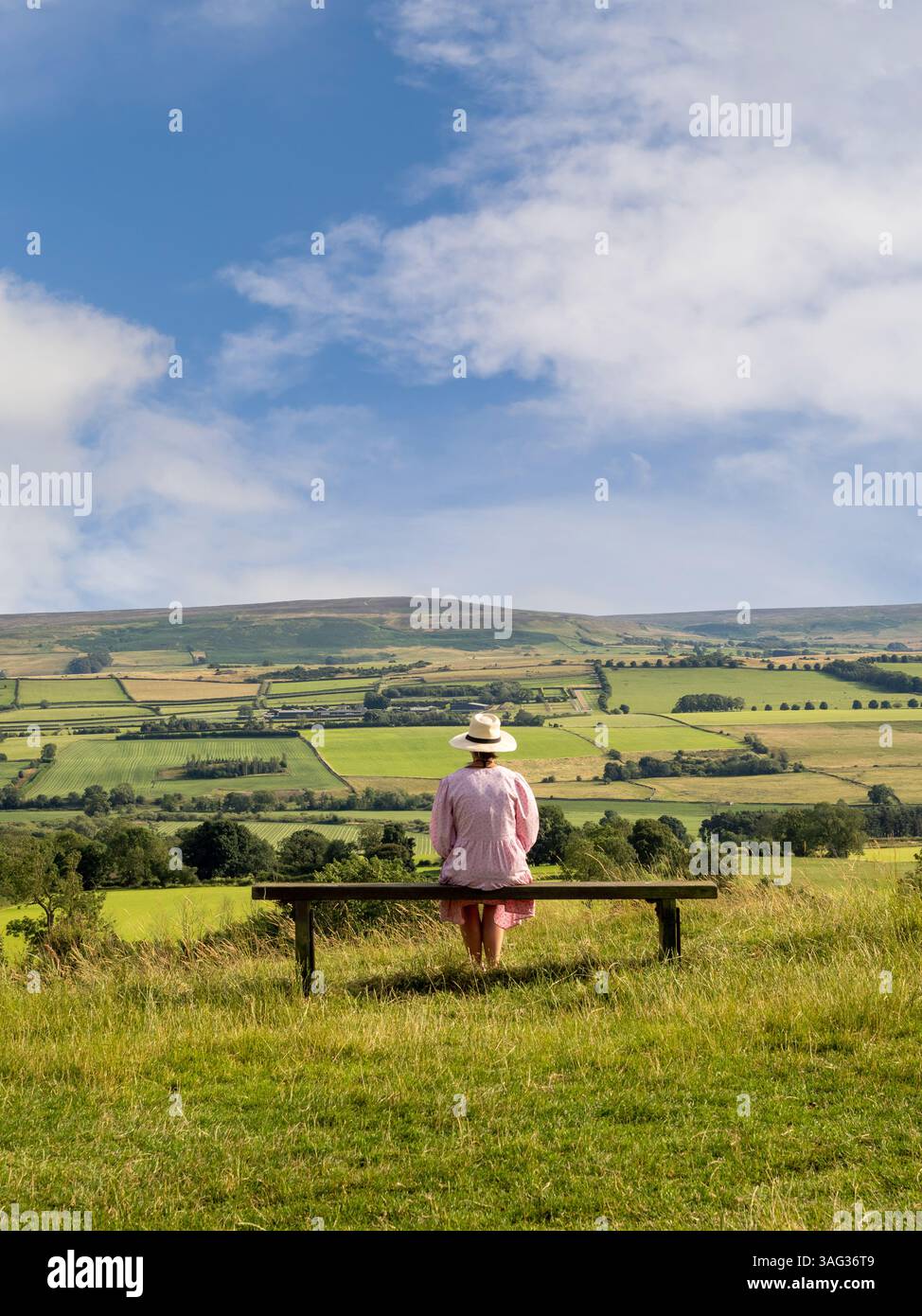 Vista posteriore di una donna in abito estivo e cappello di paglia seduta su una panchina di legno sullo Shawl a Leyburn, ammirando la vista delle valli dello Yorkshire. REGNO UNITO Foto Stock