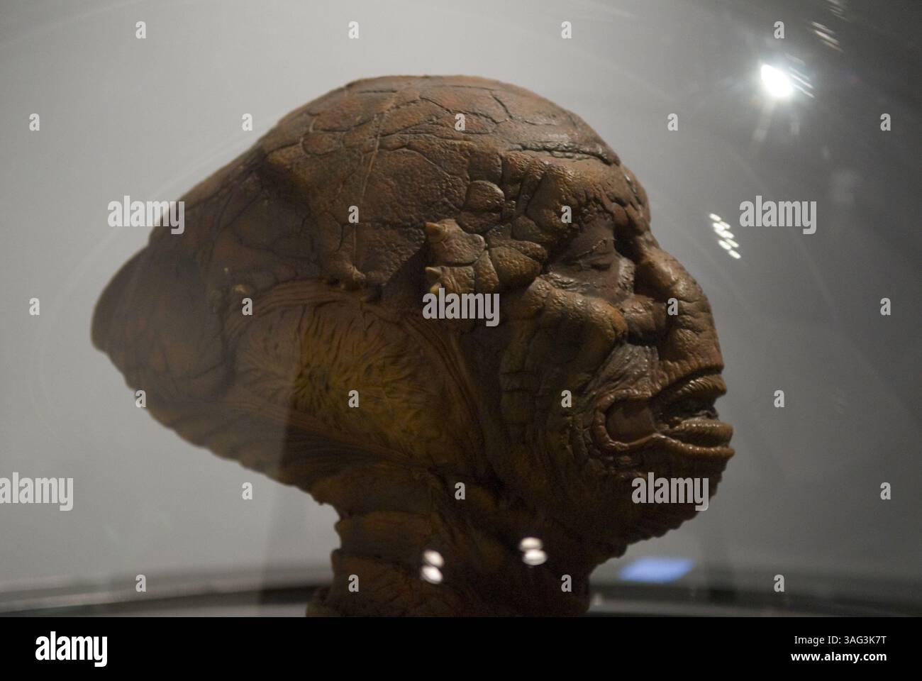 Louis Gossett Jr., indossò la maschera aliena nei panni di Jeriba 'Jerry'' Shigan nel film del 1985 'Enemy Mine'. La nuova mostra del California Museum è "Out of This World: Extraordinary Costumes from Film and Television", creata dal Science Fiction Museum and Hall of Fame, giovedì 17 settembre 2009 (Credit Image: Sacramento Bee/ZUMAPRESS.com) Foto Stock
