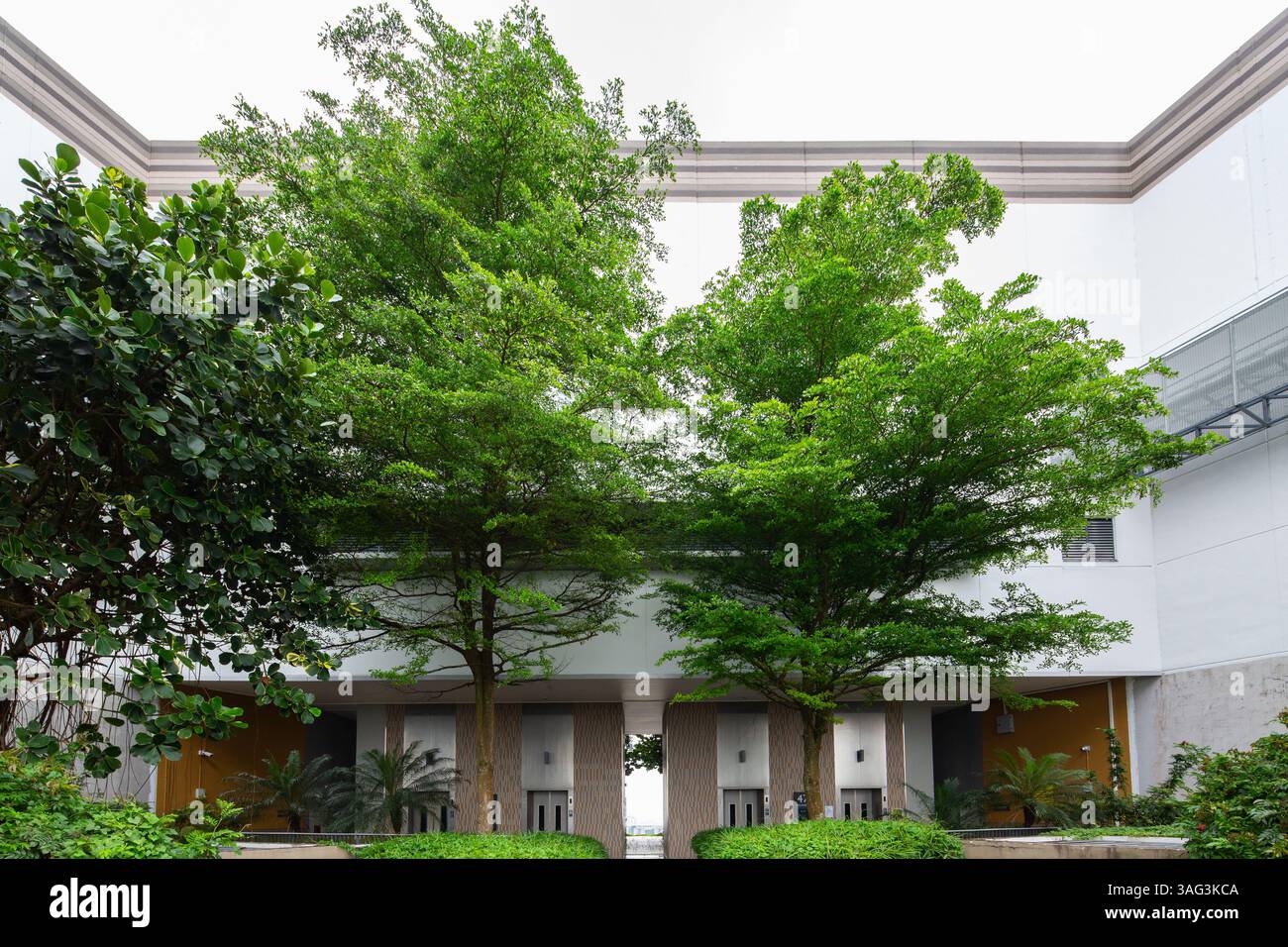 Alberi verdi sul tetto degli edifici. 47 piani di servizi per gli ospiti. Skyville Dawson, Singapore. Foto Stock