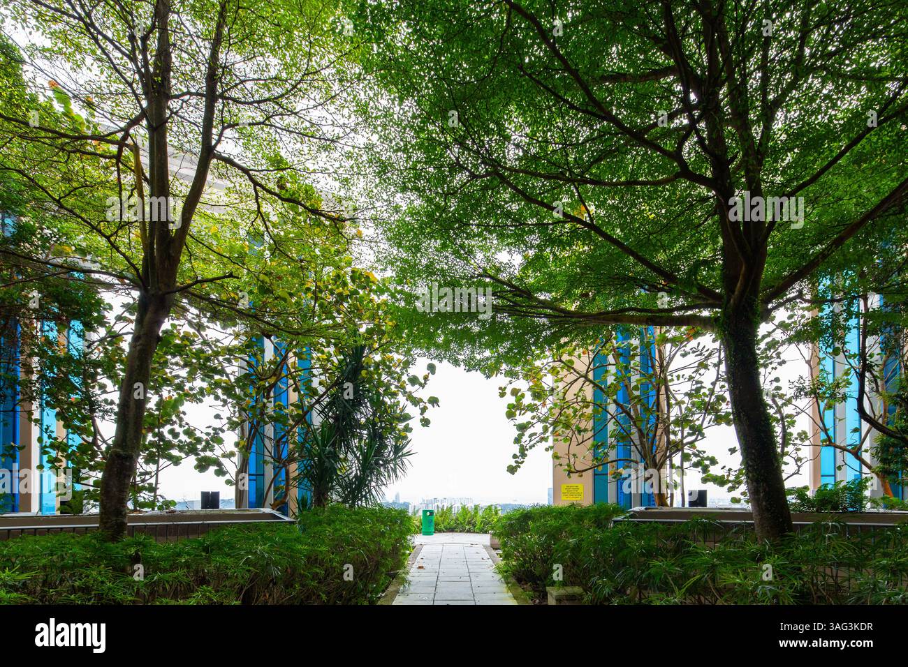 Alberi verdi sul tetto degli edifici. 47 piani di servizi per gli ospiti. Skyville Dawson, Singapore. Foto Stock
