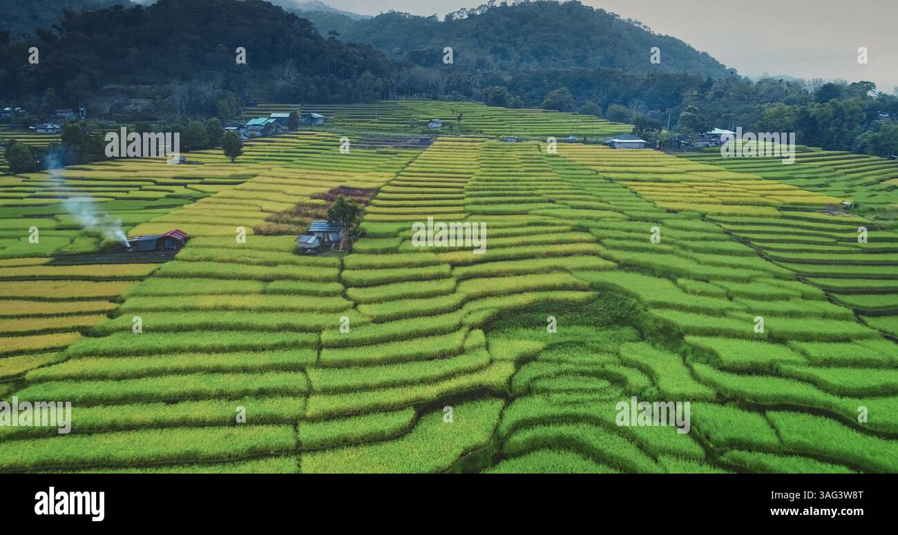 Il fumo che si innalza da una piccola capanna annidata tra vivaci risaie a terrazze, creando un ipnotico arazzo di colori e texture attraverso il paesaggio. Asia agricoltura campagna campagna volo aereo Foto Stock
