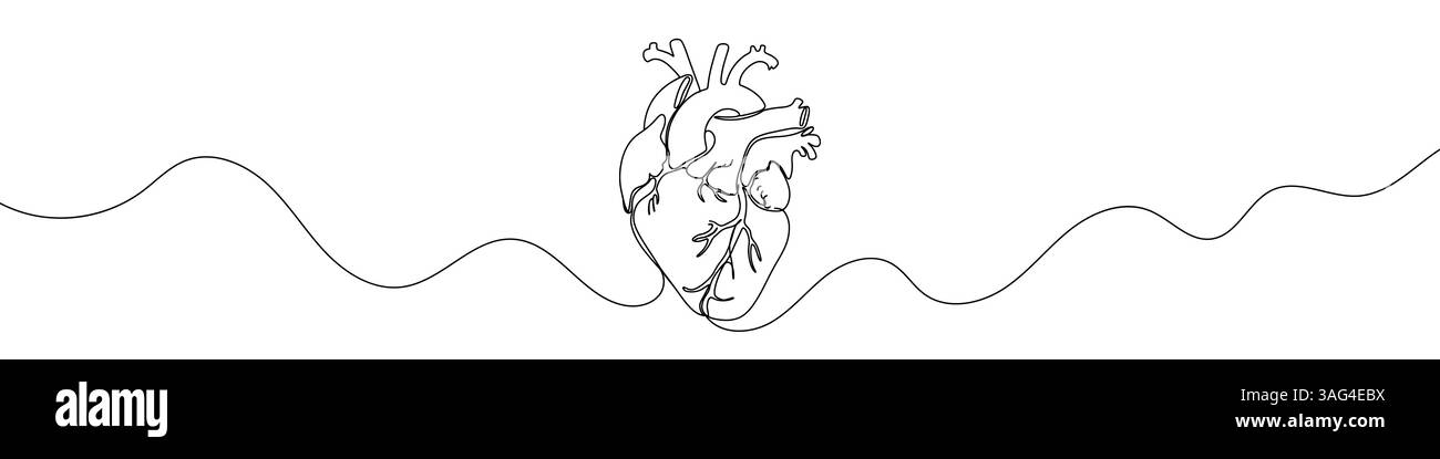 Icona del cuore disegnata con una linea. Contorno nero di un cuore anatomico realizzato con una singola linea continua. Illustrazione vettoriale. Illustrazione Vettoriale