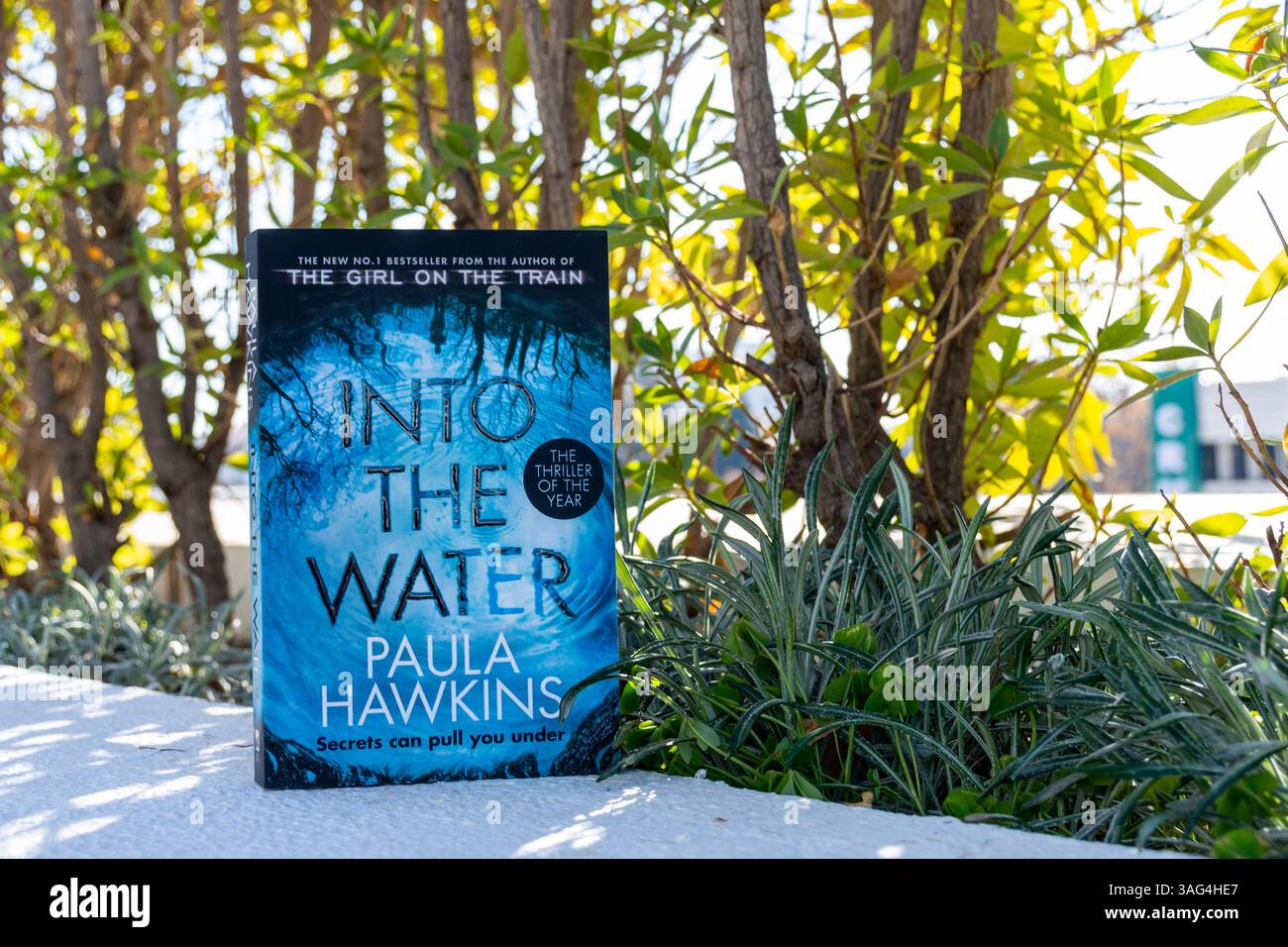 Primo piano del romanzo Into the Water di Paula Hawkins in giardino. Foto Stock