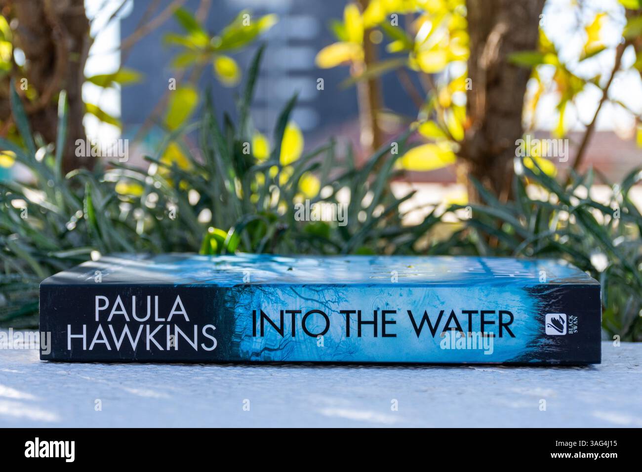 Primo piano del romanzo Into the Water di Paula Hawkins in giardino. Foto Stock