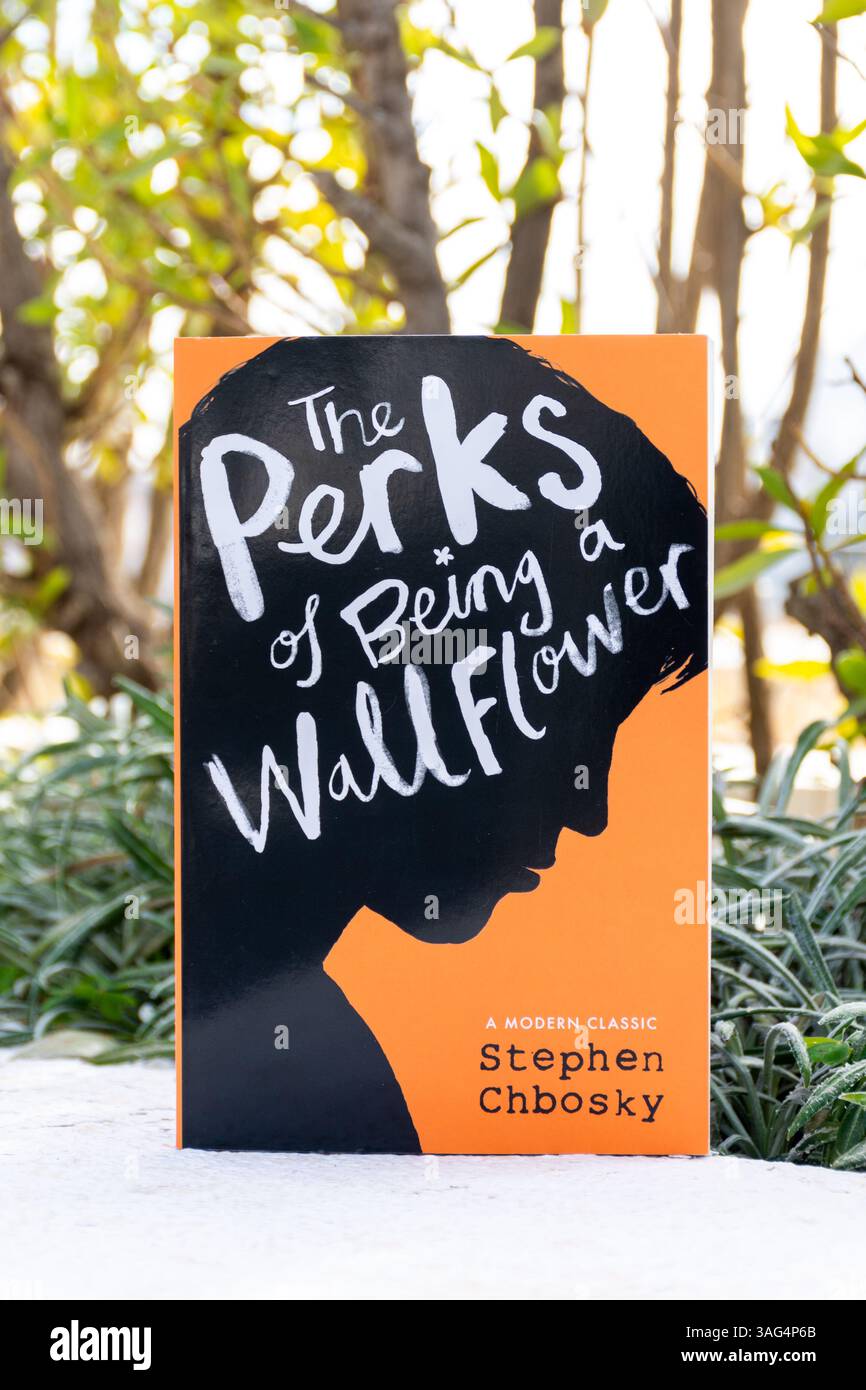 Primo piano di The Perks of the Wallflower Novel in the Garden di Stephen Chbosky. Finzione per giovani adulti. Foto Stock