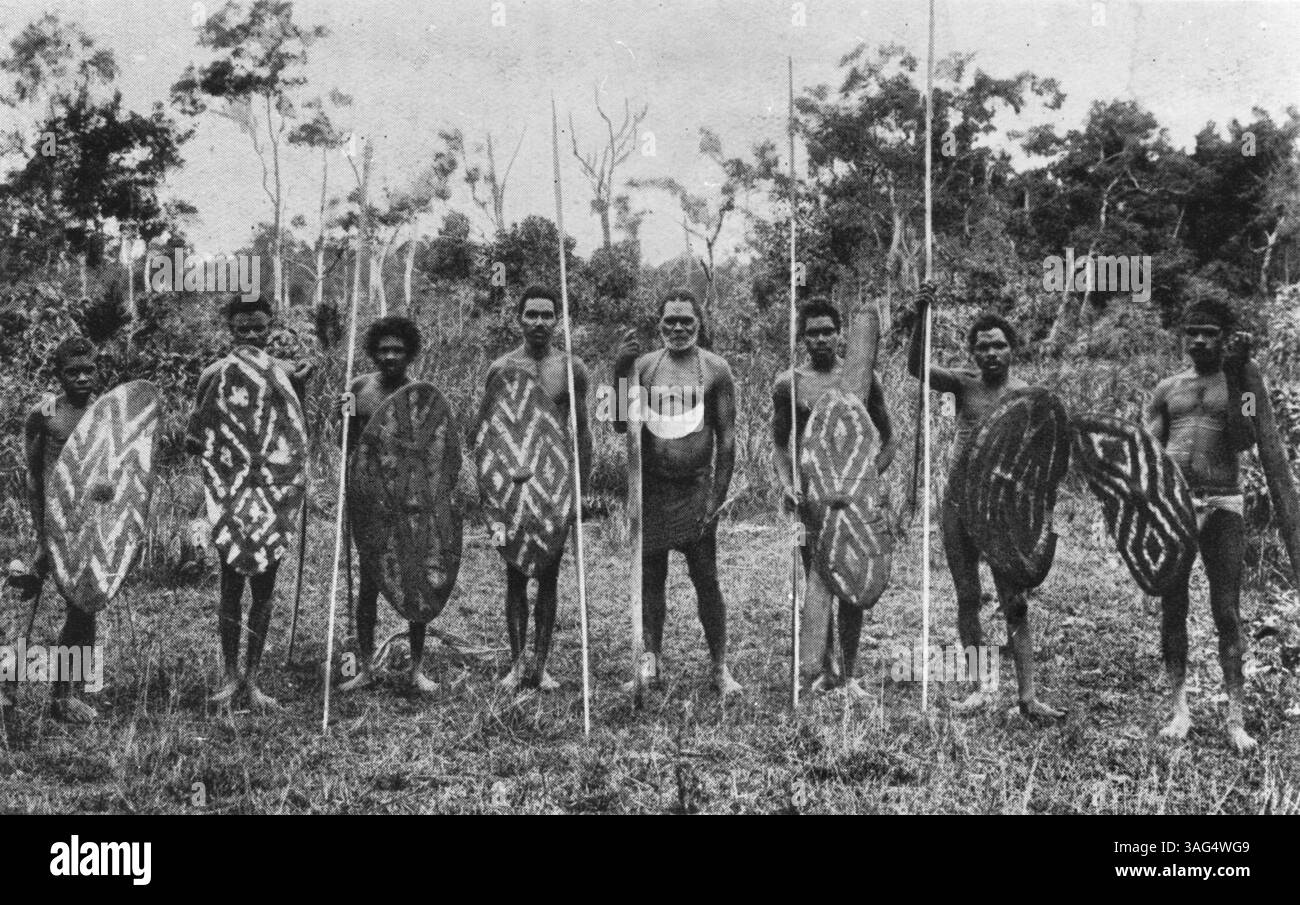 Un gruppo di aborigeni che indossano abiti tradizionali e che portano lance e scudi. Il capo tribale indossa una zampa, o placca di seno, comunemente usata alla fine del XIX secolo per identificare la testa di una tribù. Tully, North Queensland, Australia, 1890. Foto Stock