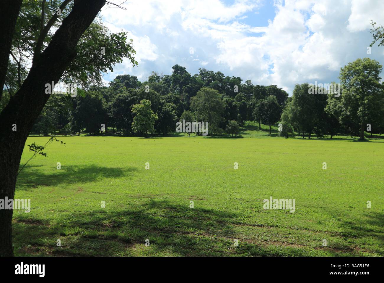 Giornata di sole in un grande parco verde con prato aperto e ombre di alberi, perfetto luogo di svago Foto Stock Giornata di sole in un grande parco verde con prato aperto e ombre di alberi, perfetto luogo di svago Foto Stock
