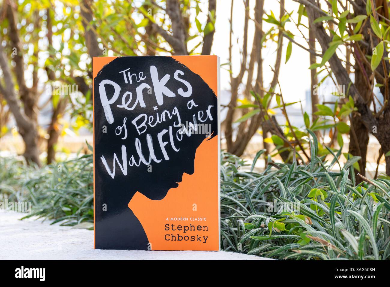 Primo piano di The Perks of the Wallflower Novel in the Garden di Stephen Chbosky. Finzione per giovani adulti. Foto Stock