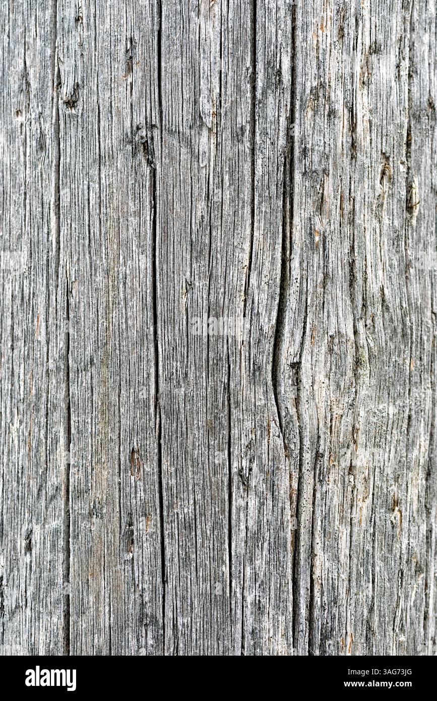 Vista ravvicinata del legno invecchiato e intemprato con intricate scanalature e motivi che enfatizzano il suo fascino rustico in luce naturale. Foto Stock