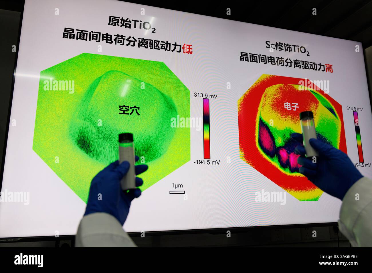 (250408) -- SHENYANG, 8 aprile 2025 (Xinhua) -- Un ricercatore dimostra campioni di biossido di titanio prima (L) e dopo la riforma, per la divisione diretta dell'acqua con la luce solare, presso il laboratorio nazionale di scienza dei materiali di Shenyang dell'Istituto di ricerca sui metalli dell'Accademia cinese delle scienze a Shenyang, nella provincia di Liaoning della Cina nord-orientale, 3 aprile 2025. I ricercatori cinesi hanno recentemente raggiunto una svolta nella "spaccatura fotocatalitica dell'acqua per la produzione di idrogeno". Eseguendo la "rimodellatura strutturale" e la "sostituzione degli elementi" su un materiale semiconduttore, questi elementi sono significativi Foto Stock