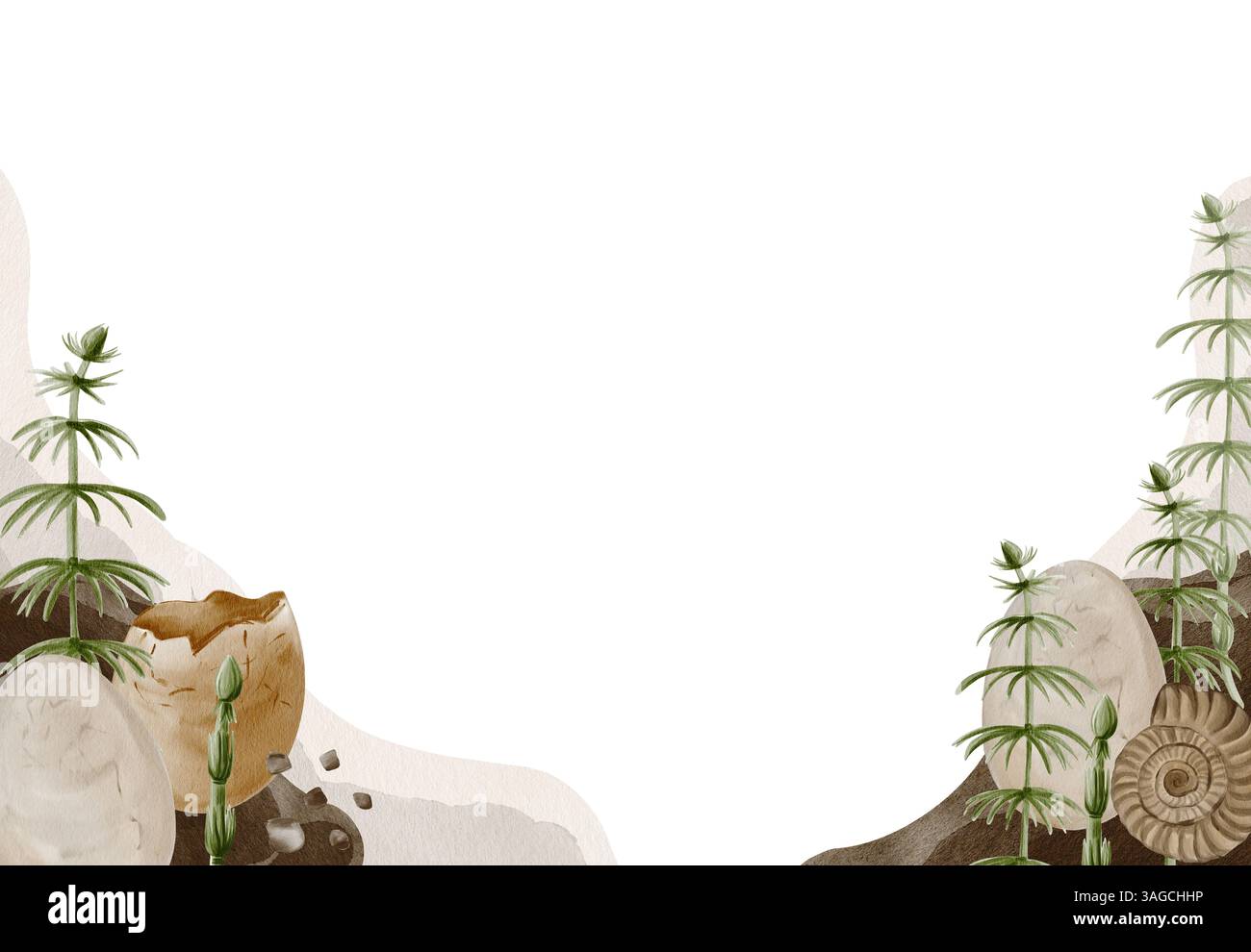 incorniciare con pietre e piante. Periodo preistorico. Fossili e ammoniti. L'Horsetail cresce tra le pietre. Uova di dinosauro. Era giurassica. Acquerello Foto Stock