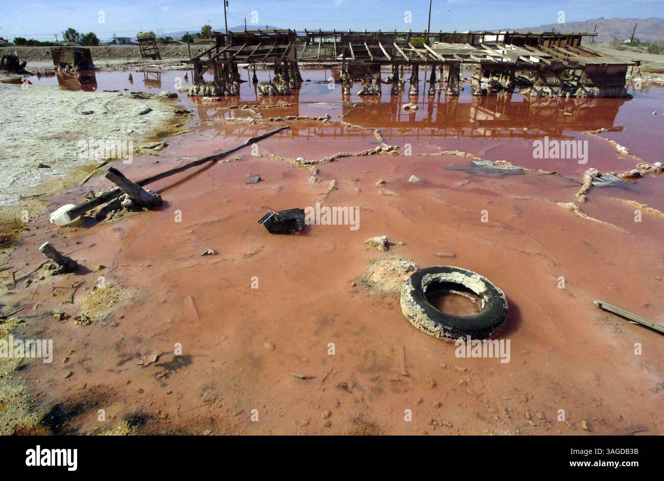 16 maggio 2003 - Salton Sea, California - Uno strano cocktail di minerali, sostanze chimiche, sali eccessivi e gli elementi si combinano in una laguna creata da un'inondazione sulla spiaggia di Bombay Beach sulla costa orientale del Salton Sea venerdì 16 maggio. Le case e i negozi in questa recessione dalla riva del mare sono stati sopraffatti da un'improvvisa ondata dal mare qualche decennio fa, ma la carneficina rimane. L'evento causò l'uscita di molte persone dalla zona. Le troupe dei film passano occasionalmente per utilizzare la spiaggia come sfondo per i video di MTV, dicono gli abitanti del posto (immagine di credito: Peggy Peattie/ZUMAPRESS.com) Foto Stock