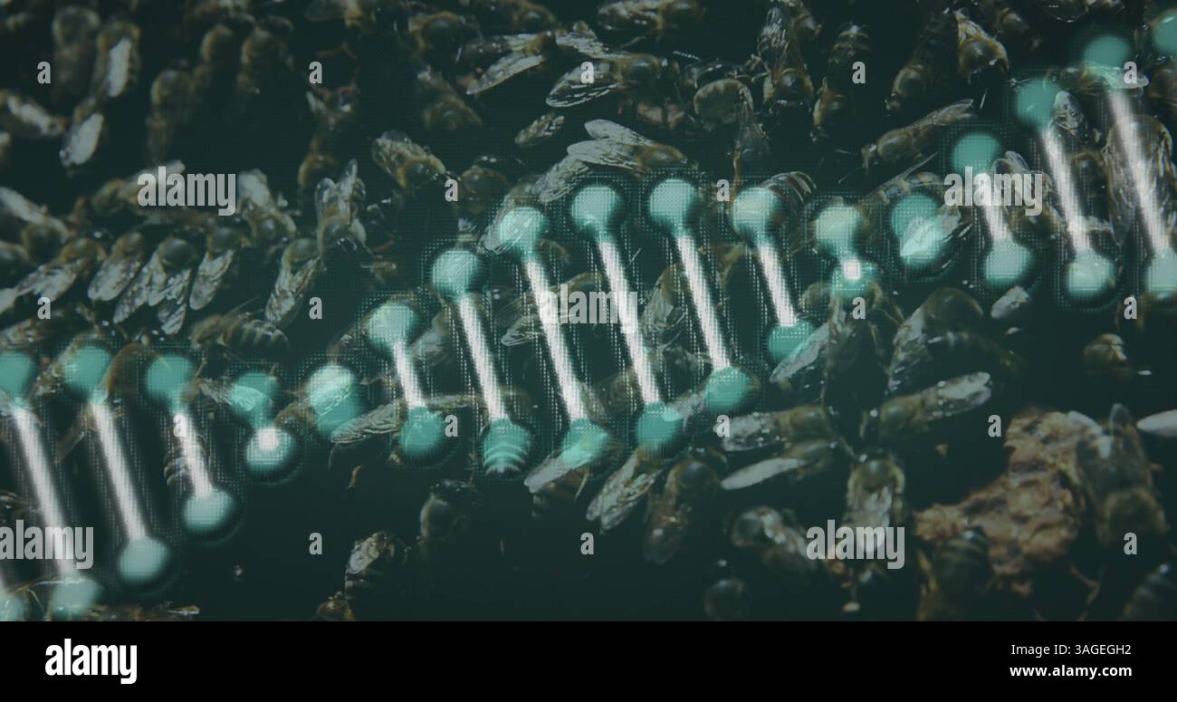Immagine del filamento di dna verde 3d che gira sulle api Foto Stock