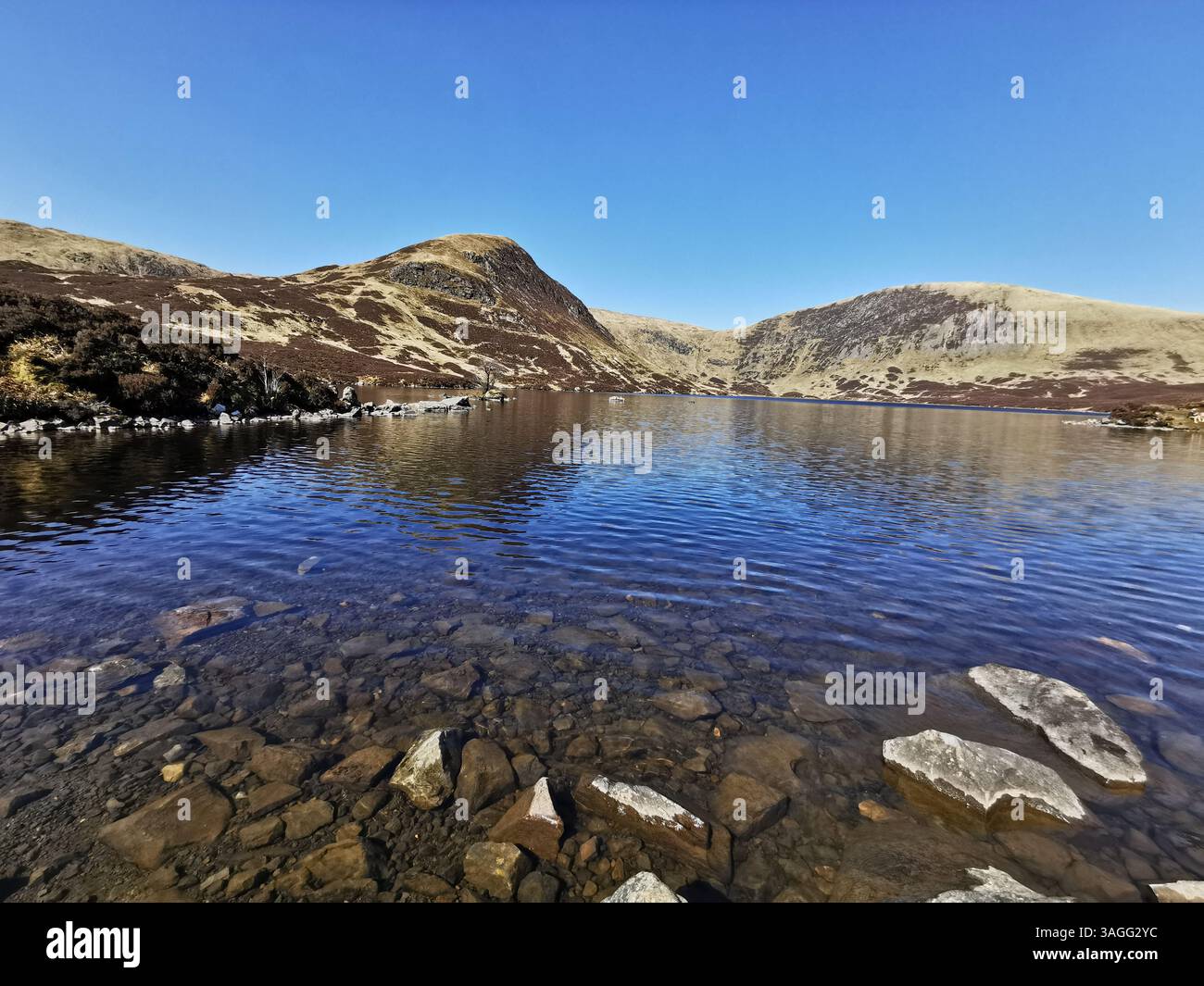 St Mary's Loch, Loch Skeen, The Grey Mare's Tail, White Coomb e Lochcraig Head negli Scottish Borders/Dumfries e Galloway durante una primavera molto secca. - Immagine stock catturata con smartphone