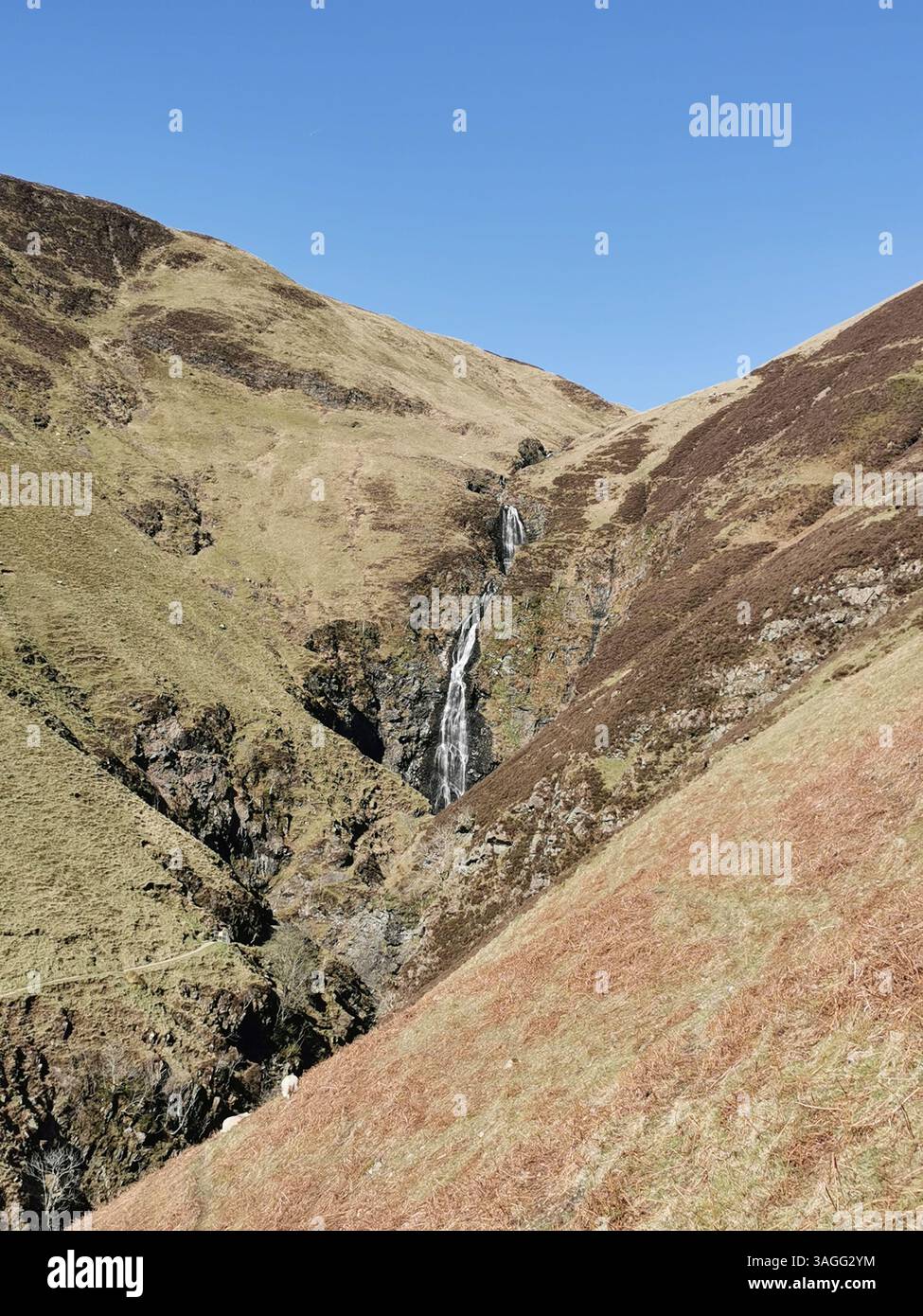 St Mary's Loch, Loch Skeen, The Grey Mare's Tail, White Coomb e Lochcraig Head negli Scottish Borders/Dumfries e Galloway durante una primavera molto secca. - Immagine stock catturata con smartphone