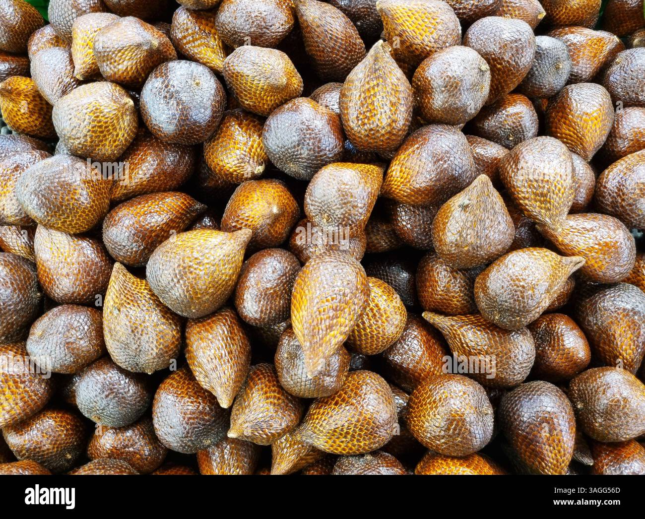 Frutta serpente al supermercato di Giacarta. Foto Stock