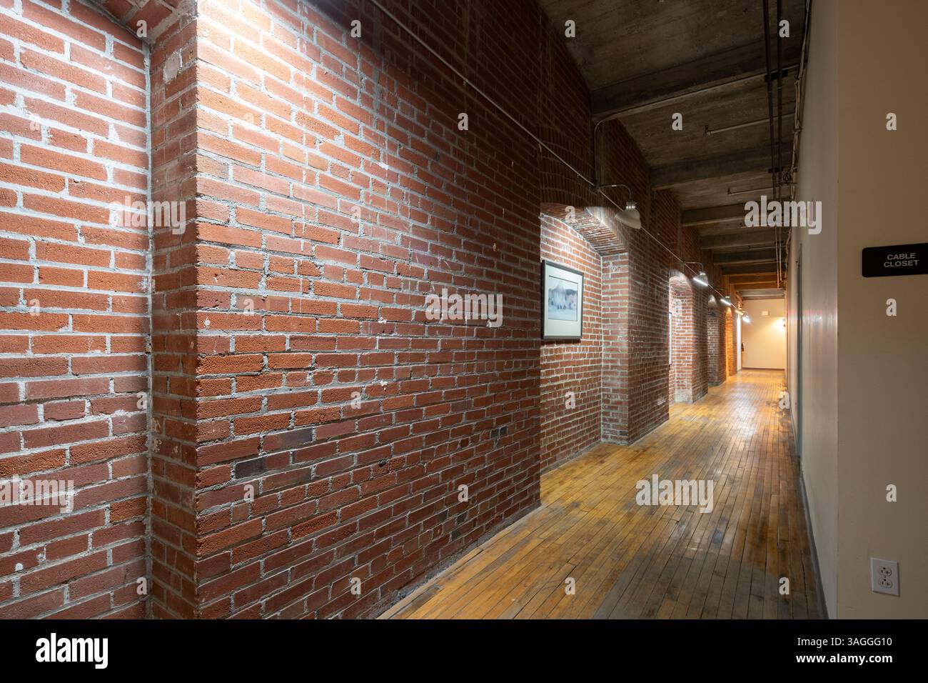 Edificio Drygoodsman , ubicazione: St. Louis MO, architetto: Albert P. Groves Foto Stock