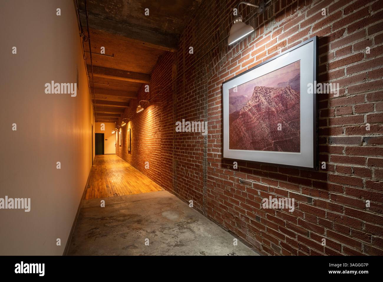 Edificio Drygoodsman , ubicazione: St. Louis MO, architetto: Albert P. Groves Foto Stock